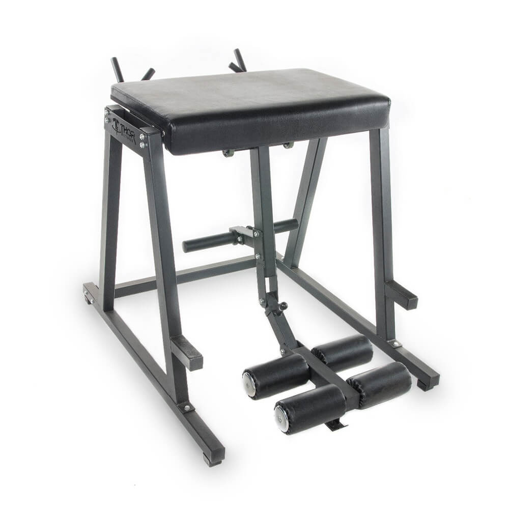 Thor Fitness Reverse Hyperextension