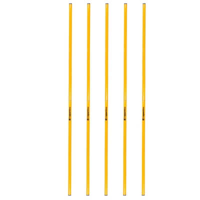 Slalmstang 160 cm, 5-pack, inSPORTline