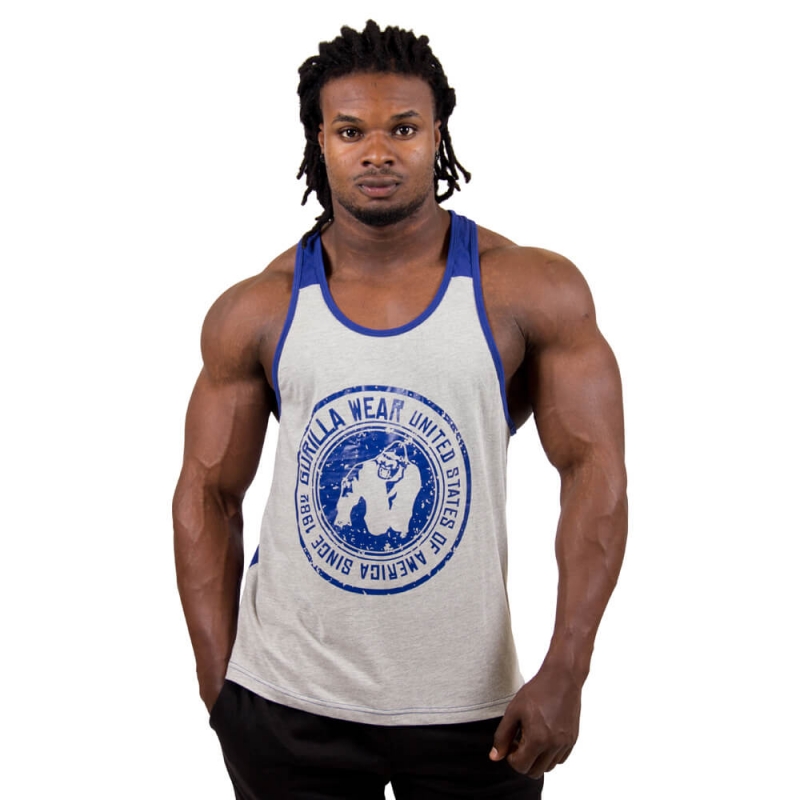 Sjekke Roswell Tank Top, grey/navy, Gorilla Wear hos SportGymButikken.no