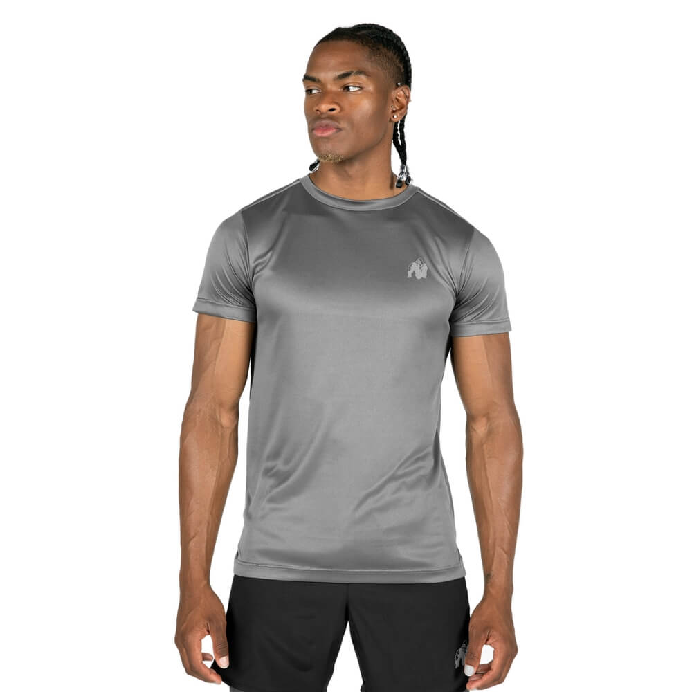 Sjekke Washington T-Shirt, grey, Gorilla Wear hos SportGymButikken.no