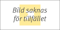 Sjekke Stretch Tee, gul, Gorilla Wear hos SportGymButikken.no