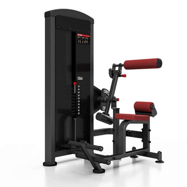 Sjekke 2-in-1 Abdominal / Back Extension U220, JTC X-Line hos SportGymButikken.n