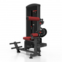 2-in-1 Abdominal / Back Extension U220, JTC X-Line