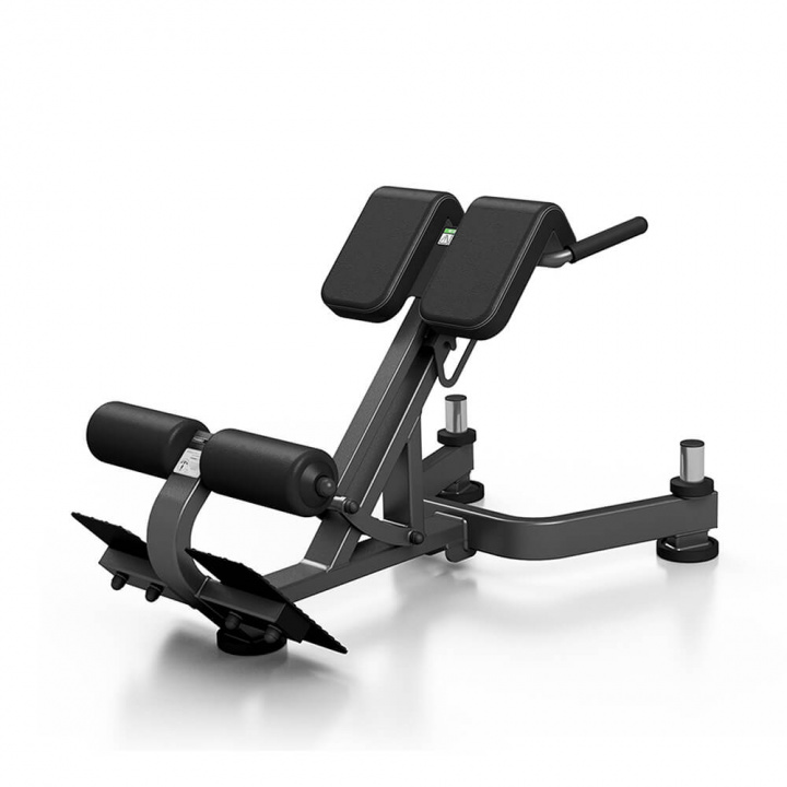 Sjekke Lower Back Bench Pro L212, JTC X-Line hos SportGymButikken.no