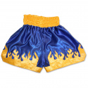 Thai Shorts, JTC Combat