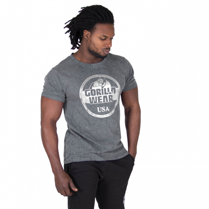 Sjekke Rocklin T-Shirt, grey, Gorilla Wear hos SportGymButikken.no