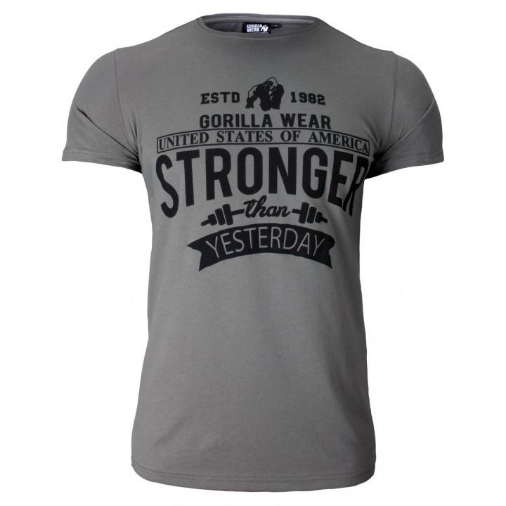 Sjekke Hobbs T-Shirt, grey, Gorilla Wear hos SportGymButikken.no