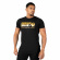 Kjøp Classic T-Shirt, black/gold, Gorilla Wear hos SportGymButikken.no