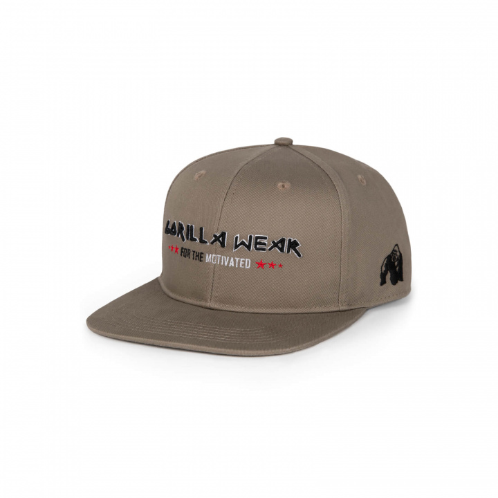 Wayne Snapback Cap, brown, Gorilla Wear i gruppen Herreklær / Tilbehør / Kapser hos Sportgymbutikken.no (GW-92235-129)