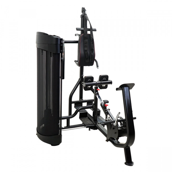 Dual Station Ab/Back, Finnlo Maximum i gruppen Styrke / Multigym & hjemmegym / Flerstasjonsgym hos Sportgymbutikken.no (HM-3584)