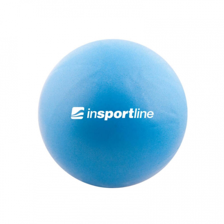 Sjekke Aerobic Ball, inSPORTline hos SportGymButikken.no