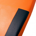 Ryggtrener, Inverso Profi, InSPORTline