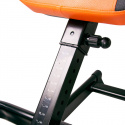 Ryggtrener, Inverso Profi, InSPORTline