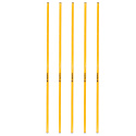 Slalåmstang 160 cm, 5-pack, inSPORTline