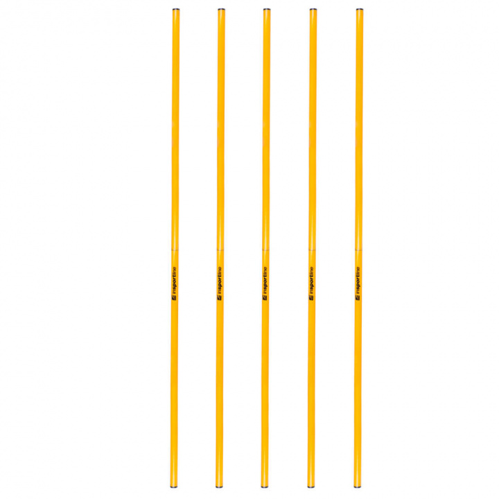 Sjekke Slalåmstang 160 cm, 5-pack, inSPORTline hos SportGymButikken.no