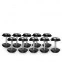 Skivemanualsett Pro, 5-par: 10 - 20 kg, inSPORTline