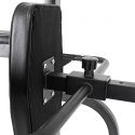 Power Tower Pull-Up Station PT250 [Black Edition], inSPORTline