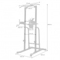 Power Tower Pull-Up Station PT250 [Black Edition], inSPORTline