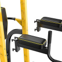 Power Tower Pull-Up Station PT250, inSPORTline