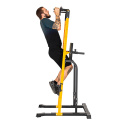 Power Tower Pull-Up Station PT250, inSPORTline