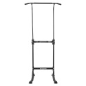 Power Tower PT60, inSPORTline