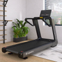 Tredemølle, Treadmill Gardian G10, inSPORTline