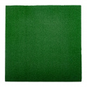 Kunstgress, Heavy Duty, 100 x 100 x 2 cm, inSPORTline