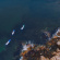 Paddleboard, Aztron Neptune 12'6'', oppblåsbar SUP inkl. tilbehørspakker
