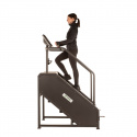 Stepmaskin Home Climber