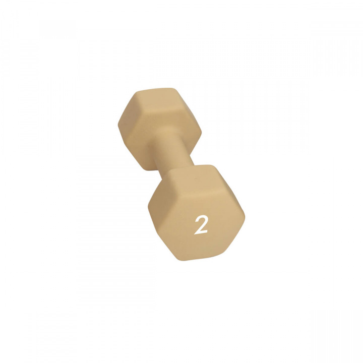 Abilica Hex Neoprene Dumbbell, 2 kg i gruppen Styrke / Manualer & kettlebells / Manualer hos Sportgymbutikken.no (SU-374276)