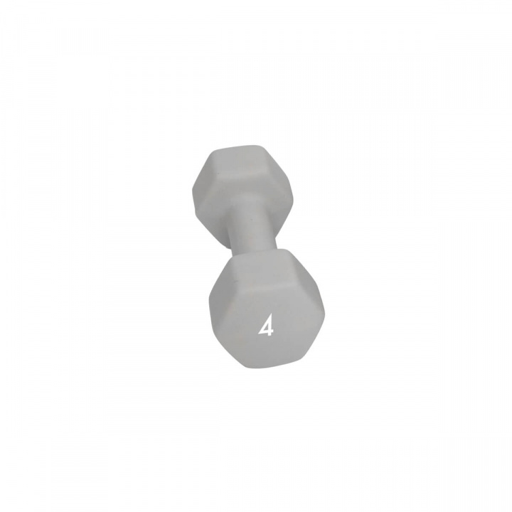 Abilica Hex Neoprene Dumbbell, 4 kg i gruppen Styrke / Manualer & kettlebells / Manualer hos Sportgymbutikken.no (SU-374278)