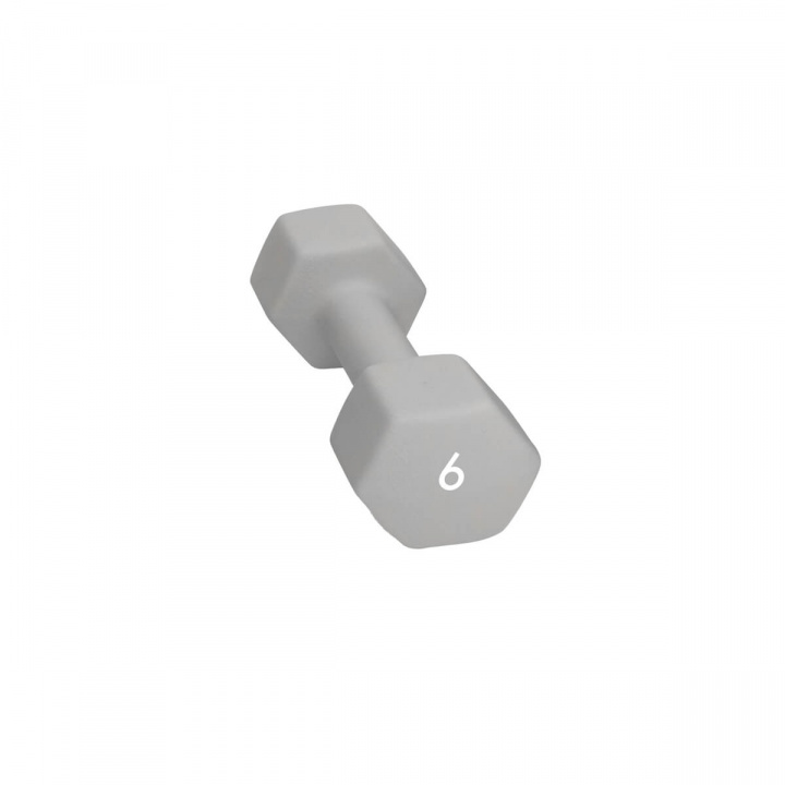 Abilica Hex Neoprene Dumbbell, 6 kg i gruppen Styrke / Manualer & kettlebells / Manualer hos Sportgymbutikken.no (SU-374280)