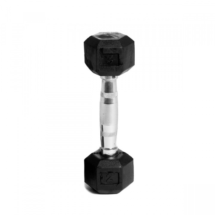 Hexmanual gummi, 1 kg, Abilica i gruppen Styrke / Manualer & kettlebells / Manualer hos Sportgymbutikken.no (SU-374674)
