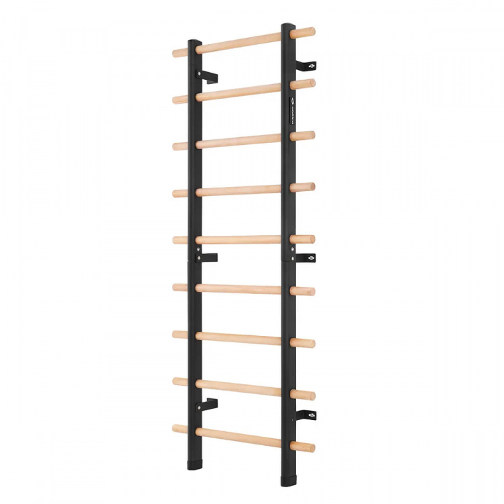 Premium WallBar i gruppen Sport & Fitness / Treningsutstyr / Crossfit hos Sportgymbutikken.no (SU-418516)