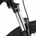 RAID 300, Lapierre