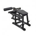 Prone Leg Curl, IFP1604, Impulse